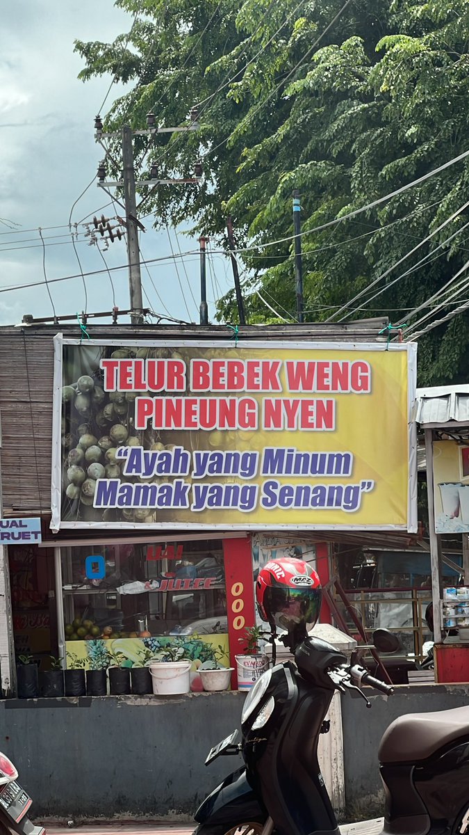 Danurfan Leuser Indonesia tweet media
