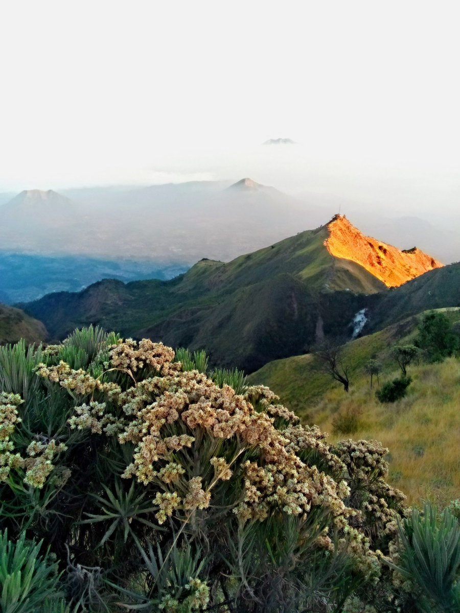 bennydepp's tweet photo. @eigeradventure Merdebu.....

Puncak Syarif dari triangulasi https://t.co/mxZ9QmEKPs