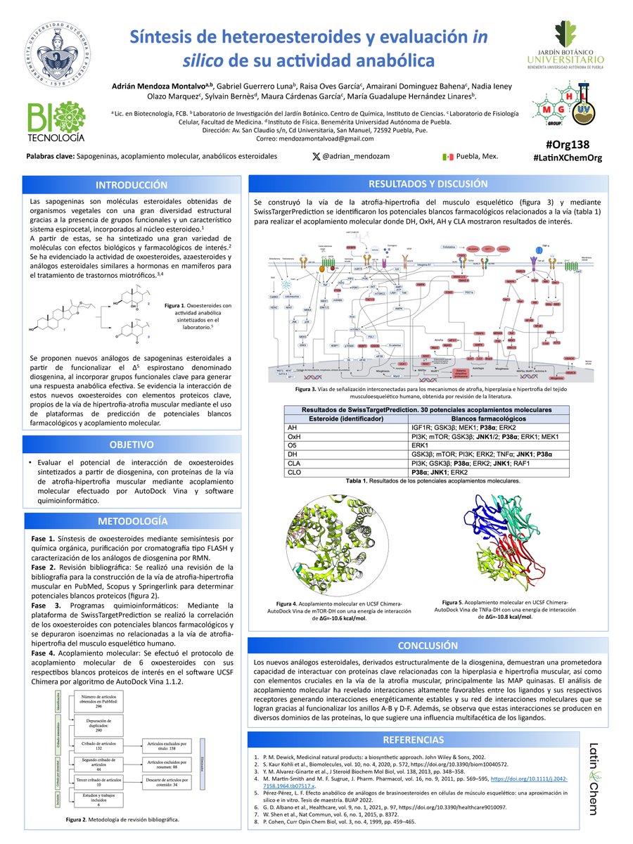 Adrián Mendoza tweet media