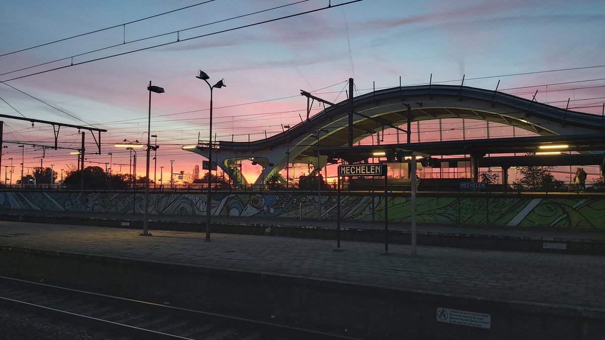 Koen Vastmans tweet media