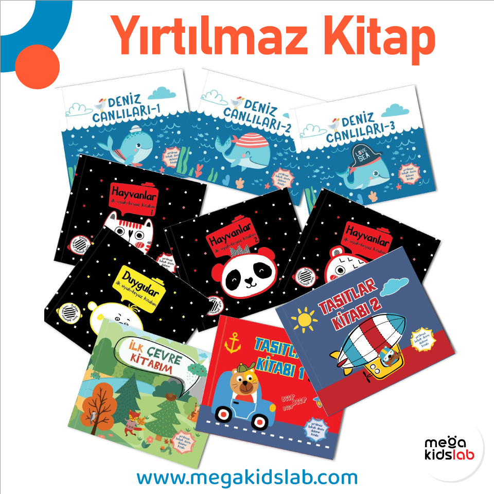 Mega Kids Lab tweet media