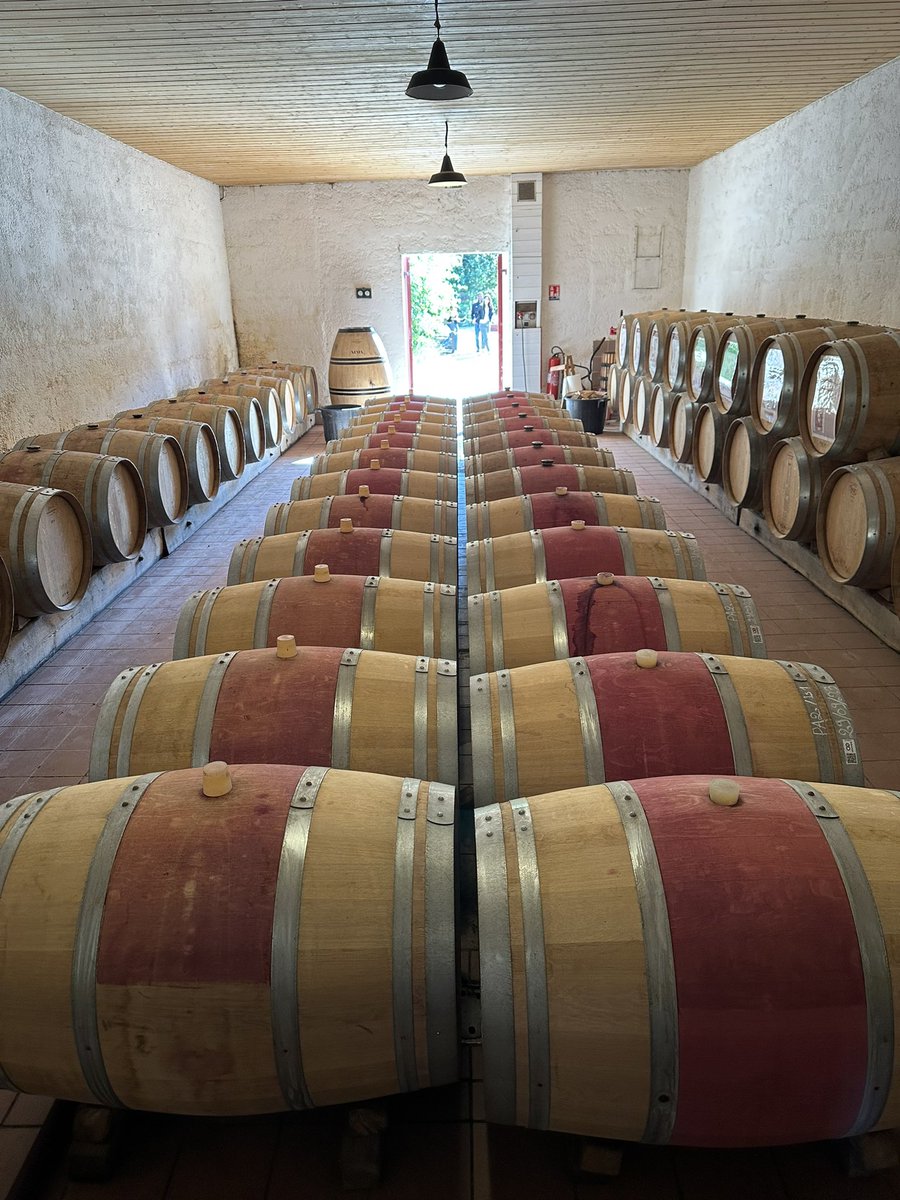 handcraftedtrav's tweet photo. Sampling in Saint-Emilion and Pomerol. 

#handcraftedtravel #creatinglifelongmemories #saintemiliontourisme #saintemilion #bordeauxtourisme #bordeaux https://t.co/nA33z7rNQZ