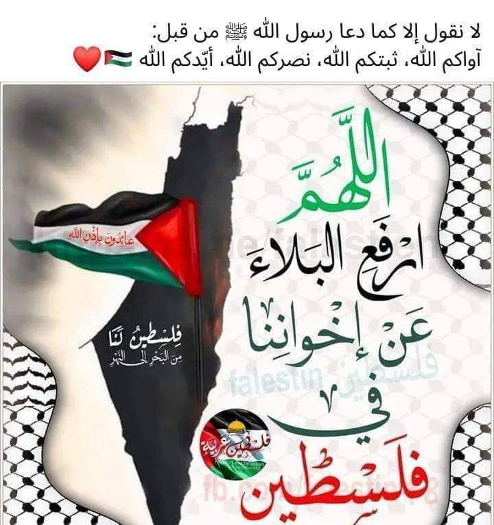 mohamed zaher (@mohamedzaher9) on Twitter photo 