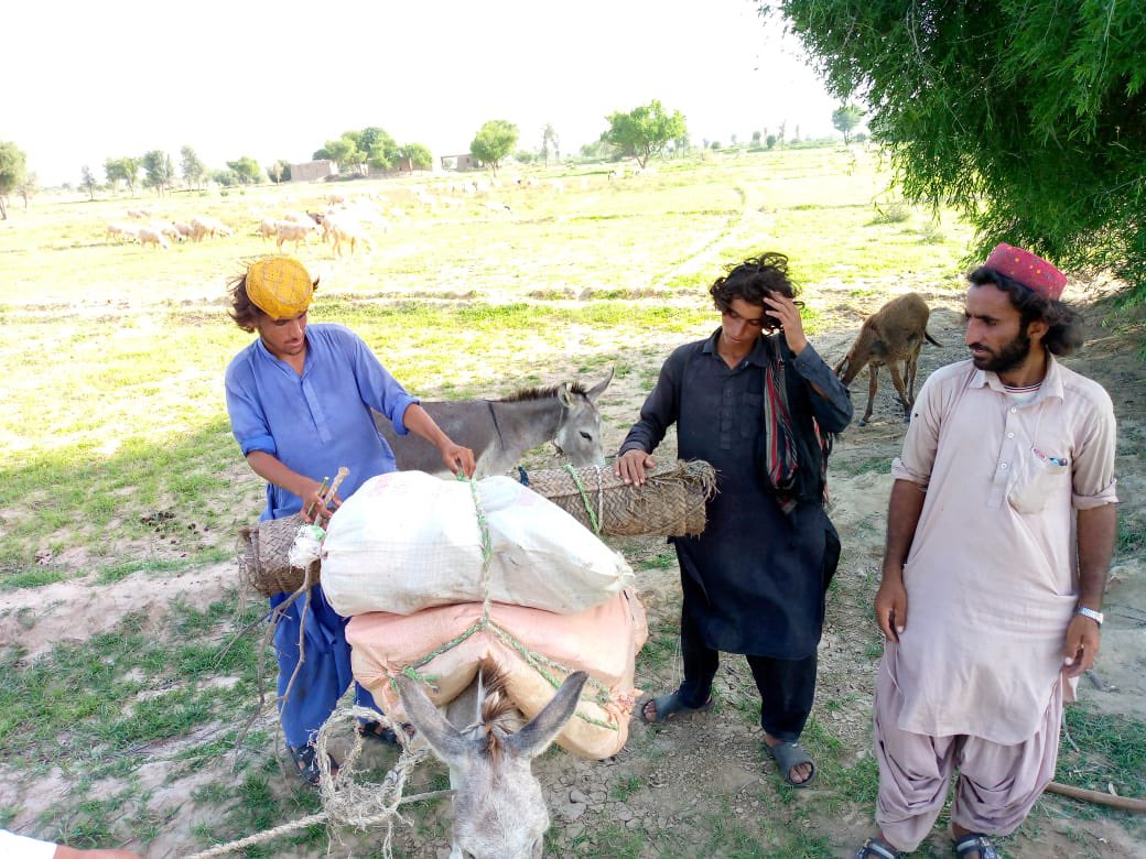 rafique_baloch1's tweet photo. تُمن گورشانی کے بلوچ قبائل کو بندوق کی زور پہ علاقہ بدر ہونے پہ مجبور کیا گیا ہے سینکڑوں کی تعداد میں خاندان اپنے آبائی وطن سے بے دخل کئے گیے ہیں جبکہ نقل مقانی کے انکار پہ کئی ایک زیرحراست میں ہیں۔ تمھیں اگر ورلڈ کپ اور فلسطین سے موقع ملا تو اپنے وطن کا کچھ حال حوال لینا۔؟ https://t.co/gxdj29hhzc