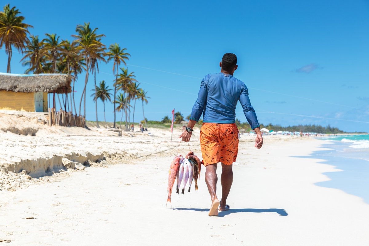 Small Island Developing States contribute less than 1% to global #GHG emissions but are among the most affected by #ClimateCrisis.

<a href="/IIED/">IIED</a> delves into #SIDS's urgent financial plight &amp; sets out propositions for building longer-term debt sustainability.

👉ggkp.org/ZMh