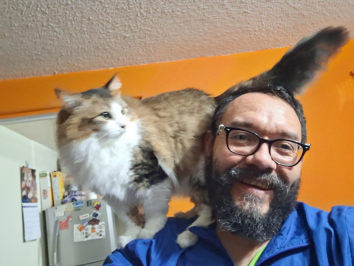 Caffeine305's tweet photo. Mi #Gatinsky e mai #Boniticho https://t.co/ZHlajbT3OA