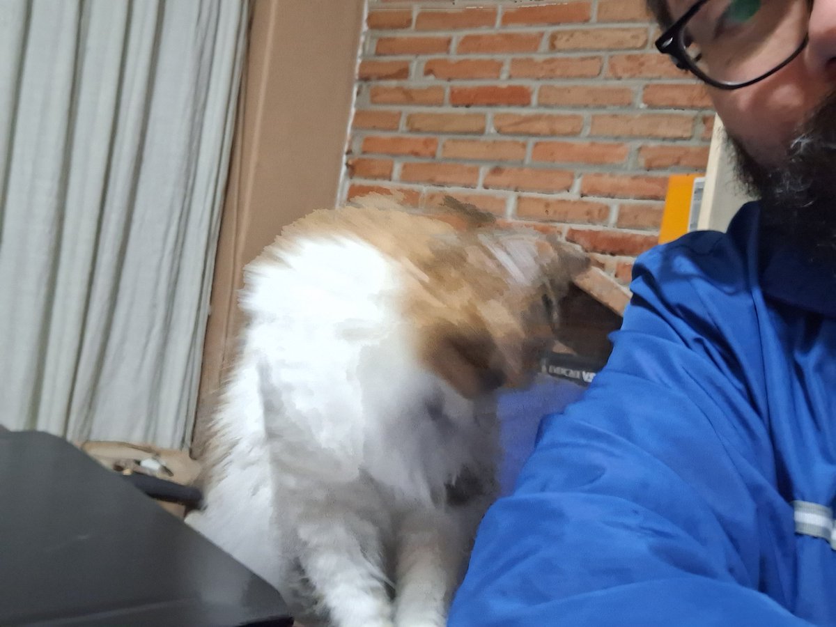 Caffeine305's tweet photo. Mi #Gatinsky e mai #Boniticho https://t.co/ZHlajbT3OA