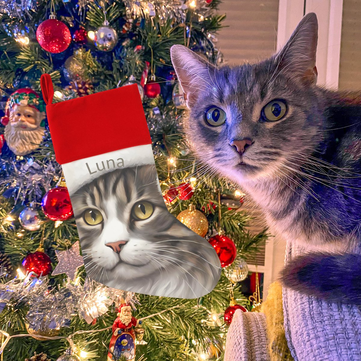 adorecats4ever's tweet photo. Cute Cat Lovers Pet Cat https://t.co/EYfeqiKfYn via @zazzle
Personalised Christmas Cat Stocking. Check it out! #catstocking #christmascatstocking #Christmas2023 #CatLovers #TABBY #tabbycat #catowner #crazycatlady #mackereltabby #catlover #furbaby #catgifts #christmascat #cutecat https://t.co/b5fd0AJQrZ
