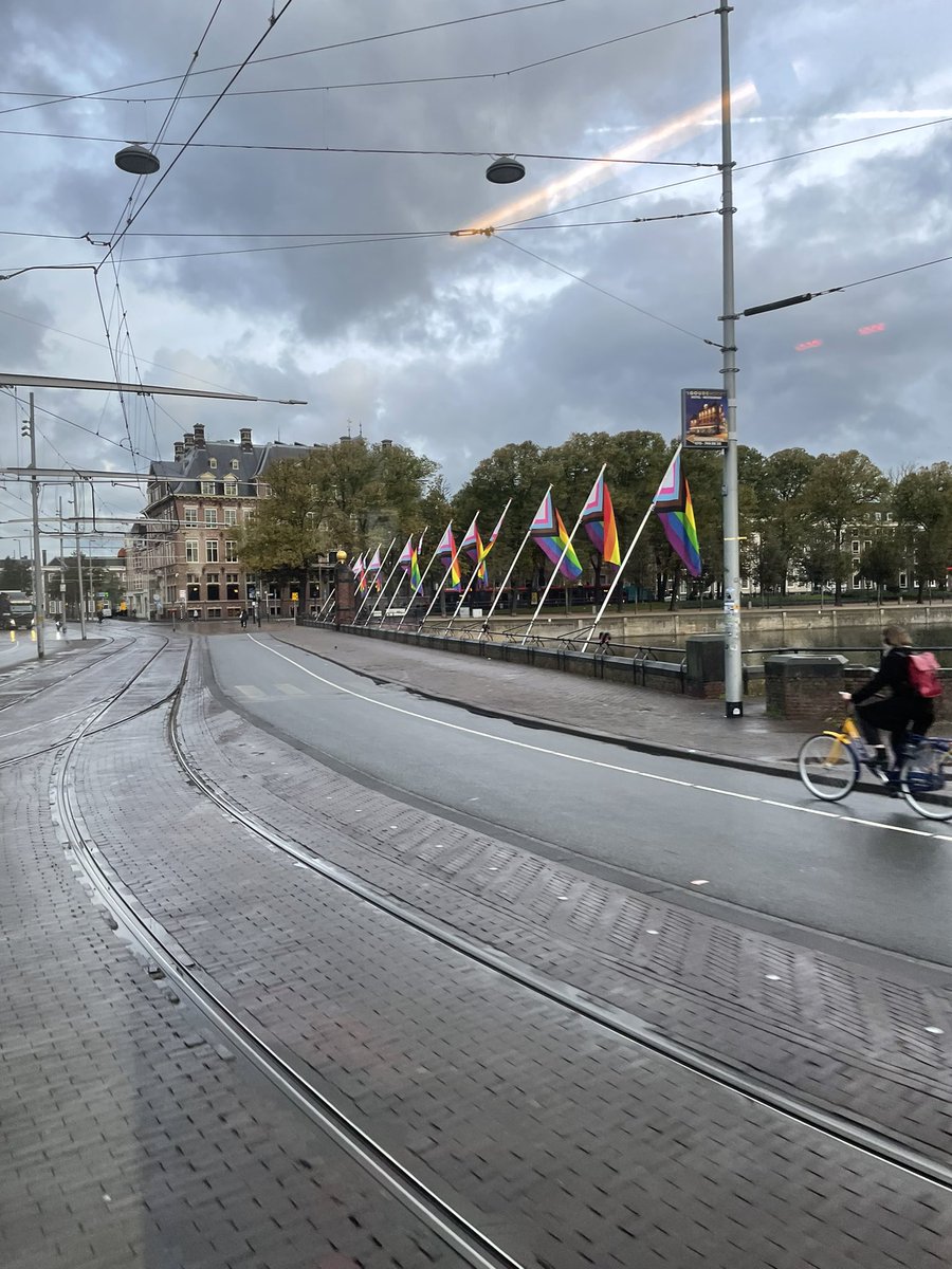 Pepijn van Houwelingen tweet media