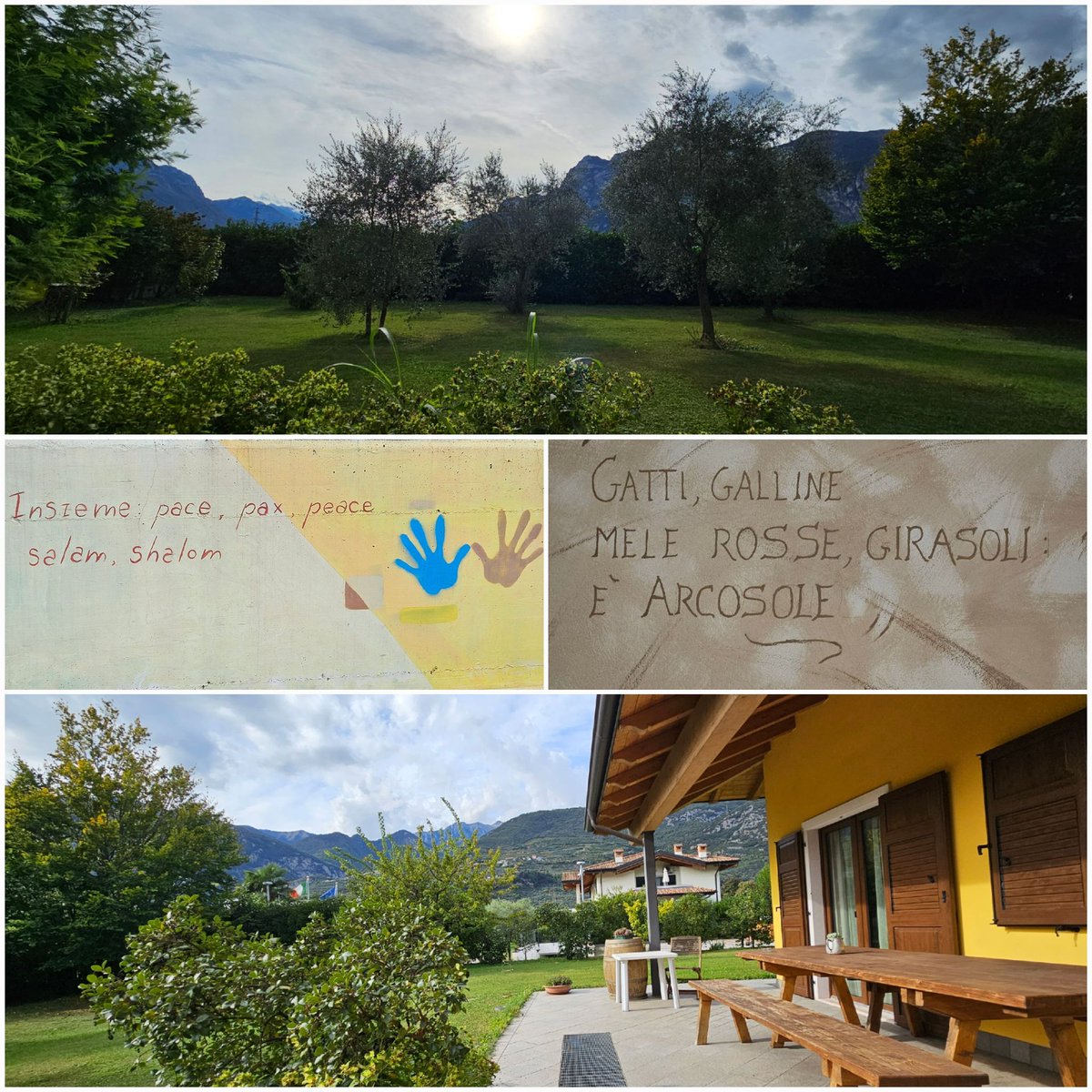 ManniTaal's tweet image. 🇮🇹 Gisteren langs het meer van #Riva naar #Torbole gewandeld in een heerlijk zonnetje 🌞 Thuis nog even op ons terrasje gezeten (tuinkant dit keer ❤️), en 's avonds was #Limone aan de beurt. Genieten!

#LagodiGarda #Italia