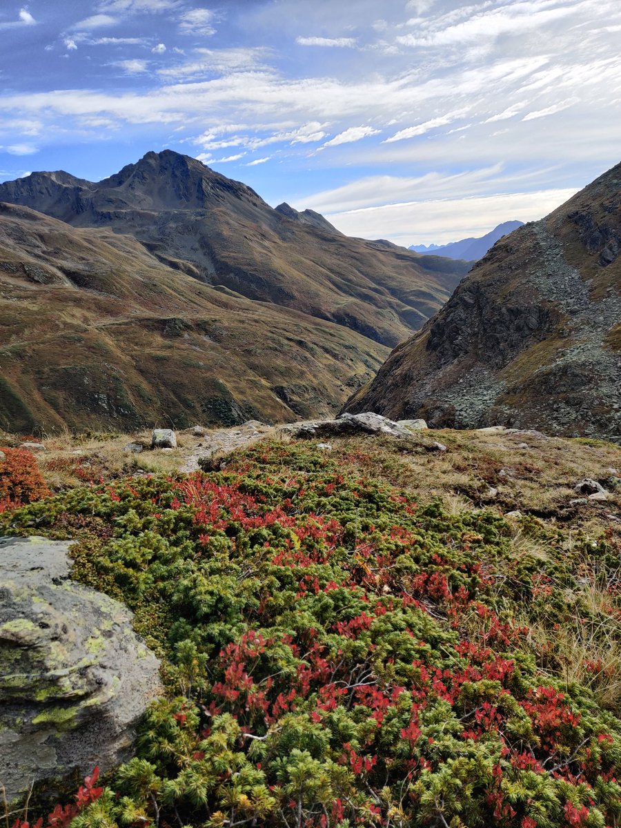 TheSwissTimes's tweet photo. A beautiful Good Morning to everyone! 🌞 Wishing you all a good start to the new week! 🚀

Photo: Jöriflesspass, Graubünden https://t.co/7rXischXje