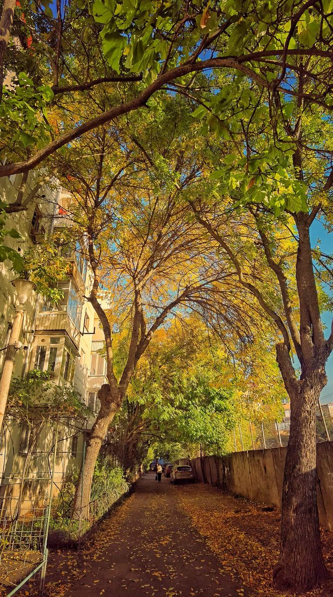 IorgaSeptimiu's tweet photo. Timișoara, toamnă...
🇷🇴 https://t.co/B5SqnajWkJ