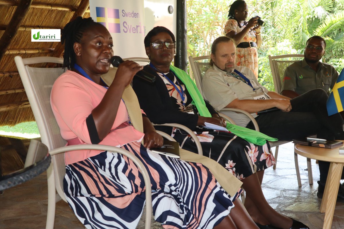 DCA Zimbabwe tweet media