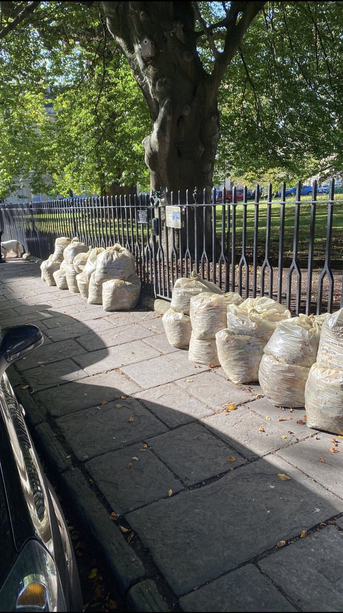 stjamesssqbath's tweet photo. A big thank you to the St James’s Square residents who turned out for our first autumn leaf clearance. Pavements cleared and 37 bags of leaves ready for collection 🍂🍂🍂 https://t.co/NdkSCxtwWk