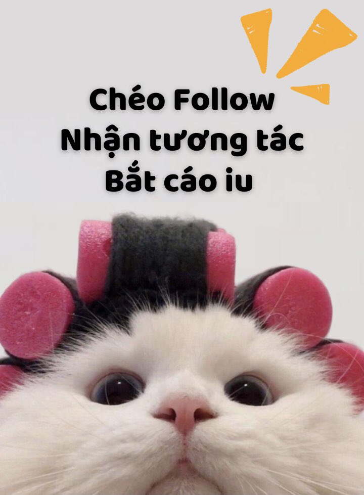 Pong |🐬 TermMax tweet media