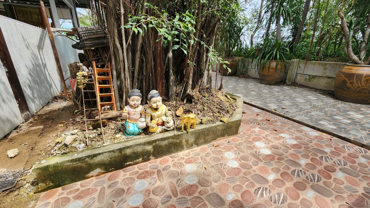 misterkwai's tweet photo. We found him a new home, at Wat Bang Krasop. :)

#goldenelephant #karmapoint https://t.co/ZLPTVefQIC