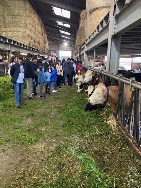 CagiGeneva's tweet photo. It was last Saturday
A visit to Bieri's farm to discover #Genevacountryside at #Avully and to taste a #raclettecheese 🧀among the cows 🐄!
An excursion of the Welcome Programme ! https://t.co/Q1Lp9qRk74