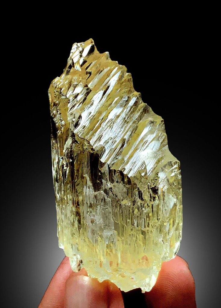 MineralParadise's tweet photo. https://t.co/0wgAFQsrqt
#triphane #kunzite #kunzites #kunzitecrystal #kunzitestone #kunzitespecimen #crystals #minerals #mineralspecimen #mineralsparadise #gemstones #geologypage https://t.co/KXJvOdzjN7