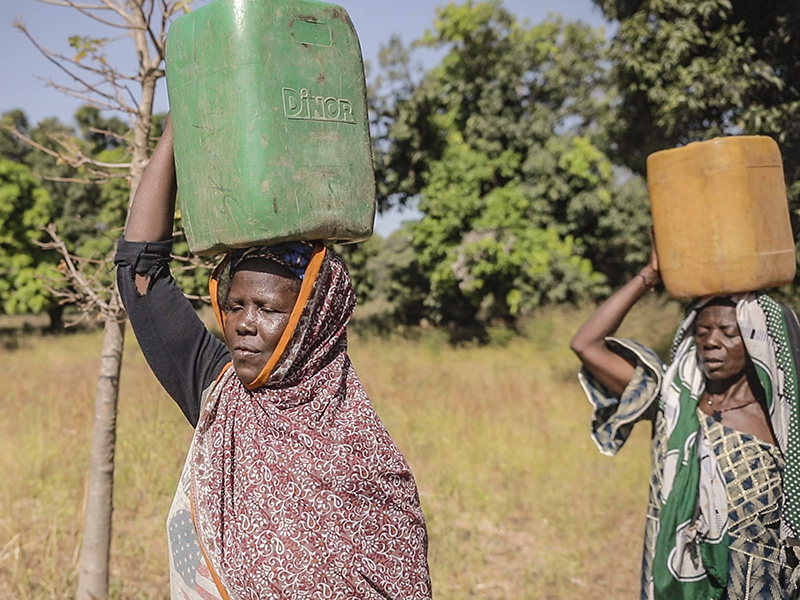 #FR_ 👩🏿👧🏿🌍#JOURNEEDELAFEMMERURALE – En #Afrique Subsaharienne, les #femmes et des #filles collectent l’eau💧pour la boisson, l’hygiène… mais aussi pour l’#agriculture 💦🐐🐓🍌🥜. En Afrique de l’Ouest, près de 50% des travailleurs agricoles sont des femmes... @ONUFemmes