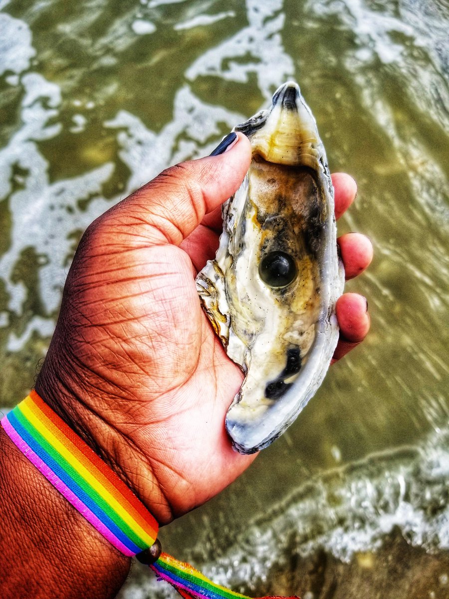 EjaeWild's tweet photo. 🏳️‍🌈 Happy #LGBTHistoryMonth! 🏳️‍🌈

🌌 I ❤ Swimming In October! 🌌

⚣🔮🍻 "Life is all about multidimensional thinking, I suppose. Now, with that being said, what is it that you see, or what is it that you seek?"

- Emmanuel J. Hampton 🌿⛤🧘‍♂️

#GayHippie
#GayMerman
#GayBear

💎
🏝 https://t.co/BO7lVwAqSV