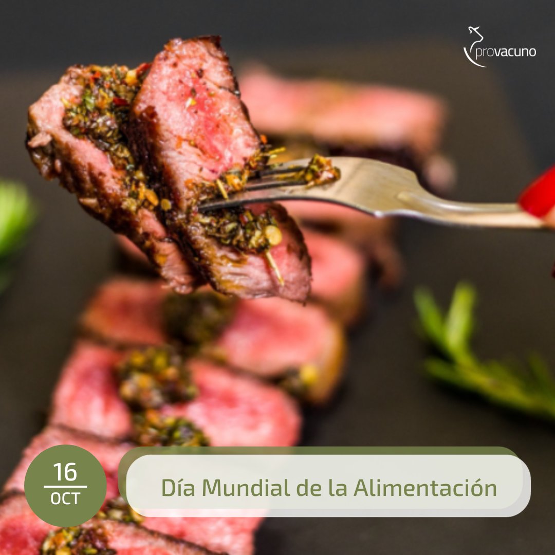 Provacuno's tweet image. 🥩 En el Día Mundial de la Alimentación os recordamos que la carne de vacuno:

✅ Contiene hierro, zinc y magnesio
✅ Es rica en vitamina B12
✅ Es rica en proteína biodispensable
✅ Es rica en potasio
✅ Ayuda al desarrollo de la masa muscular

🫶 ¡Somos #FansDelVacuno! ¿Y tú?