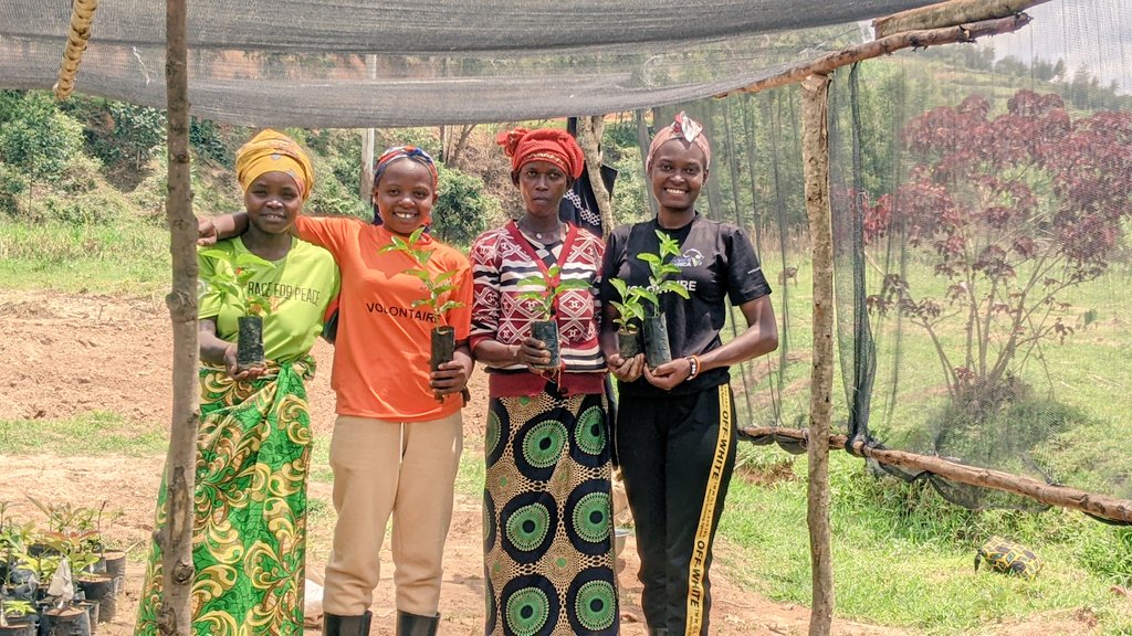 OliveNiyo's tweet photo. That's fantastic news! We've successfully distributed passion fruit trees to our communitymembers, with the goal of having each household grow a minimum of 20 passionfruit plants. These fruits will not only provide essential nutrition for families, but also it'sa source of income https://t.co/C07eA19zvt