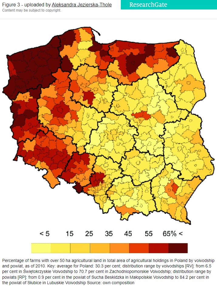 World Solutions tweet media