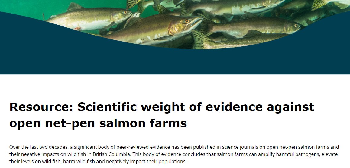 This body of evidence concludes that salmon farms can amplify harmful pathogens, elevate their levels on wild fish, harm wild fish and negatively impact their populations 

watershedwatch.ca/resource/scien…

<a href="/SeanFraserMP/">Sean Fraser</a> <a href="/karla_macf_pc/">Karla MacFarlane</a> <a href="/TimHoustonNS/">Tim Houston</a> <a href="/NSFisheries/">NS Fisheries/Aquaculture</a> <a href="/ASFSalmon/">ASF</a> <a href="/NSsalmon/">Nova Scotia Salmon Association | NSSA</a>