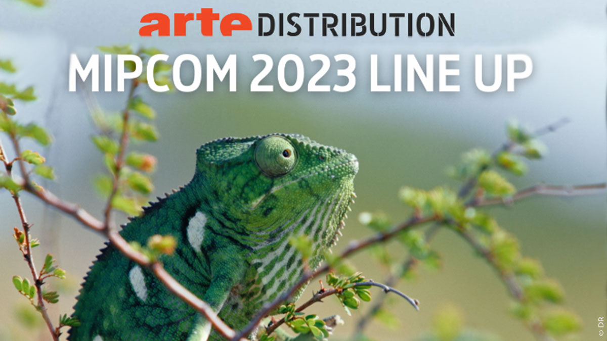 📌L'équipe d'<a href="/ARTEfr/">ARTE</a> Distribution est présente au <a href="/mip/">MIP Markets</a> #MIPCOM à Cannes, du 16 au 19.10.
🇯🇵 distribution.arte.tv
🇯🇵 linkedin.com/company/artedi…