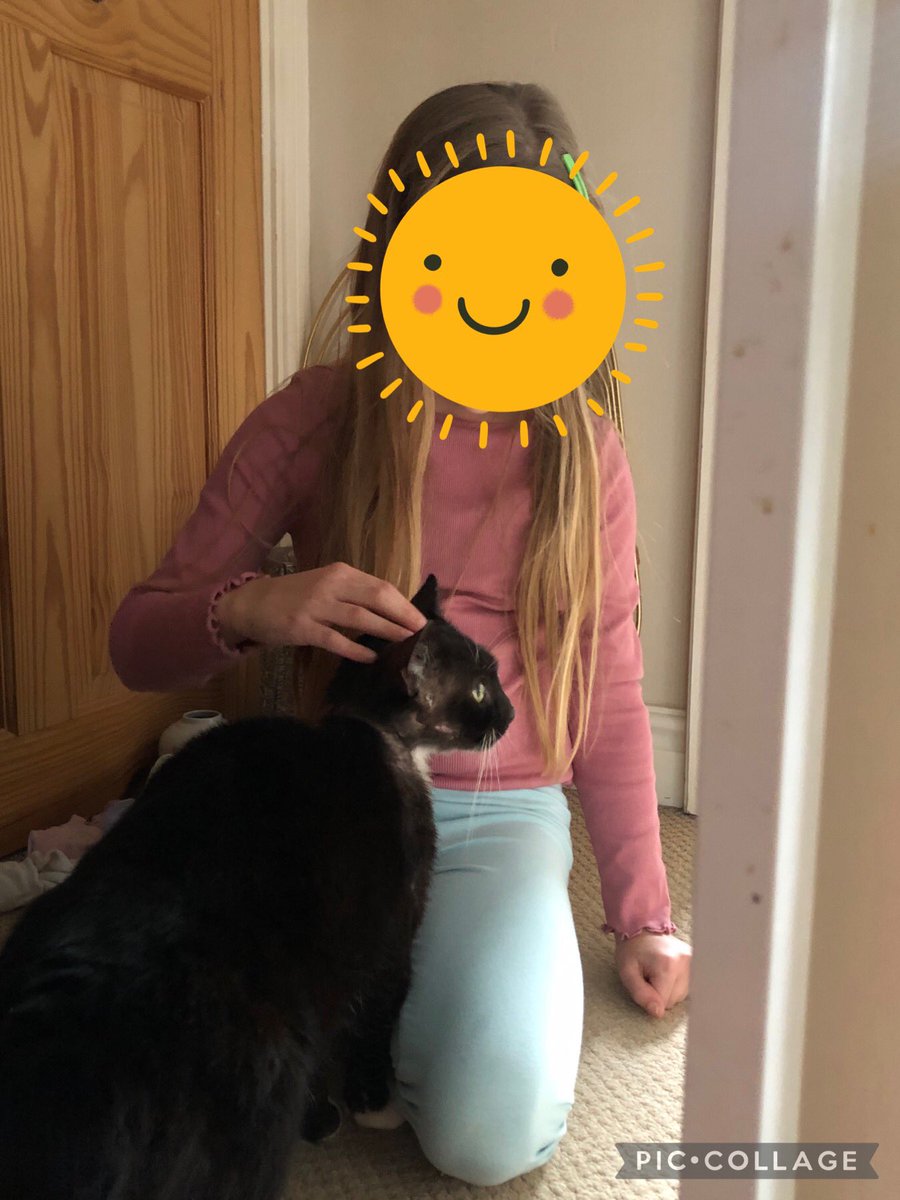 A little update on Edison 💜🐾He came to us around Mar/April time with a horrific wound around his whole neck, 2in of raw flesh on show which needed daily care &amp; lots meds for pain &amp; purred through most of it,bless his little paws🥰 #AdoptDontShop #MondayMotivaton #CatsAreFamily