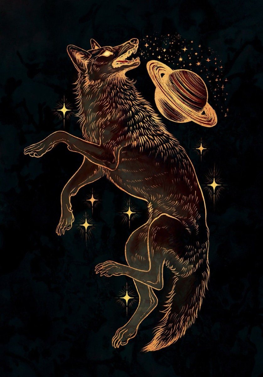 Star Coyote