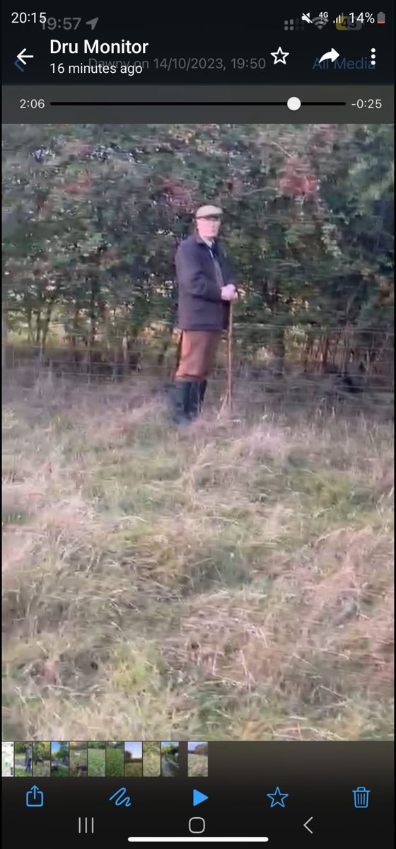 Raydon Hall 14.10.23 this late meet which started at 4pm and finished at 6.30pm was illegal hunting from the outset. Men & women with sticks to beat & scare what despicable people. #fox #trailhuntlies #keeptheban #ruralcrime #eadt