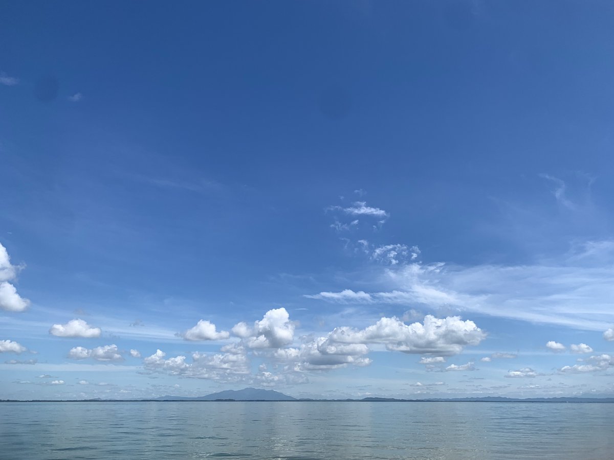 mmepojy_'s tweet photo. อยากอวดสิ่งนี้สวยมาก ถ่ายจากกล้องสด ไม่ได้แต่งสีอะไรเลย ก้อนสีขาวที่เห็นก็เป็นก้อนสำลีจริงๆ ไม่ใช่เอไอ 🥹 https://t.co/h1cGpssusA
