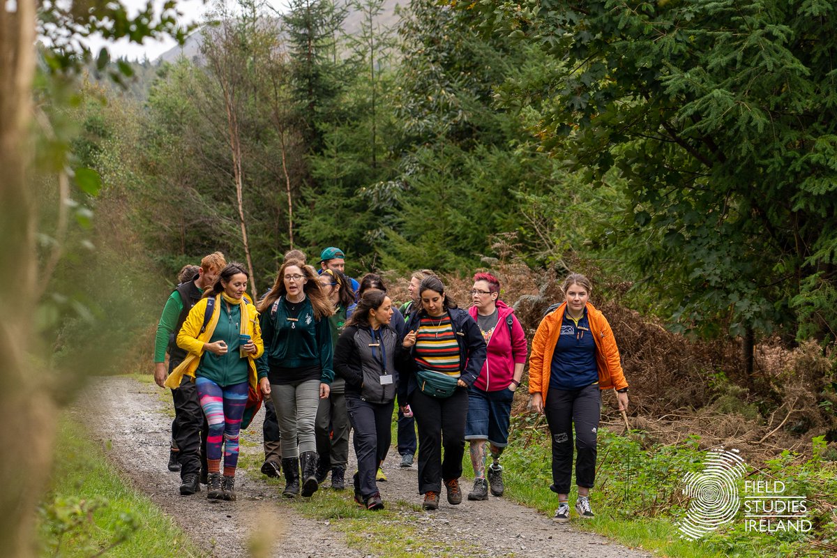 Wild Youth NI tweet media