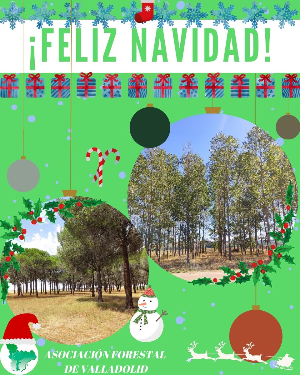🎄 Desde ASFOVA, deseamos a todos nuestros socios, simpatizantes y seguidores unas felices fiestas

#feliznavidad #navidad #felicesfiestas <a href="/fafcyle/">FAFCYLE</a> <a href="/Selvicultores/">Selvicultores</a>