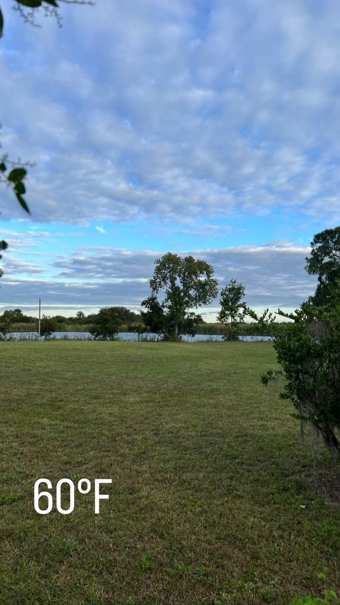 Pandora1869's tweet image. Loving this weather #feelslikefall #centralflorida
