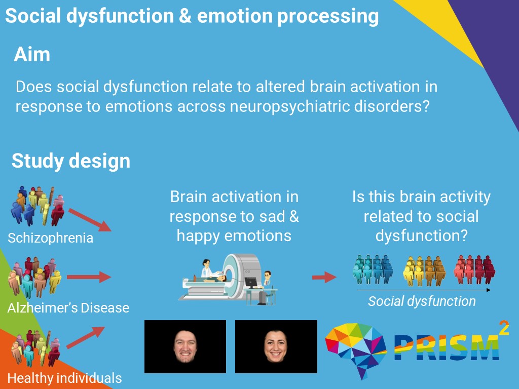 IMI2PRISM2's tweet image. #IMI2PRISM2 Research Spotlight! Why do some people find it easier to socialise than others? Researcher Simon Braak, the Netherlands, is studying the brain differences that underlie social dysfunction in #schizophrenia, #Alzheimer’s Disease and healthy individuals. @PsychRes