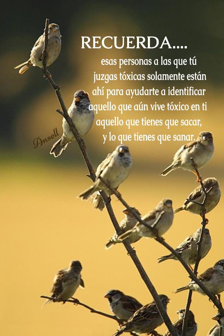 Laura González (@laura_glez_77) on Twitter photo 