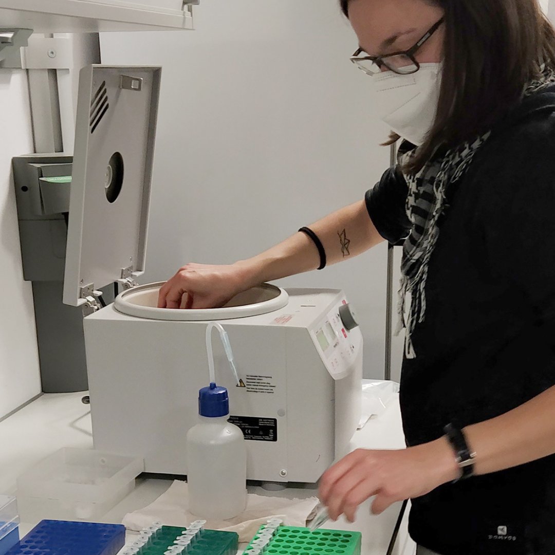 🟣 Sheep’s mobile pastoralism documented for some nort-east Iberian societies from the Pyrenees, prior to the Romans’ arrival (3rd c. BC) 🔗 bit.ly/3M2arB2