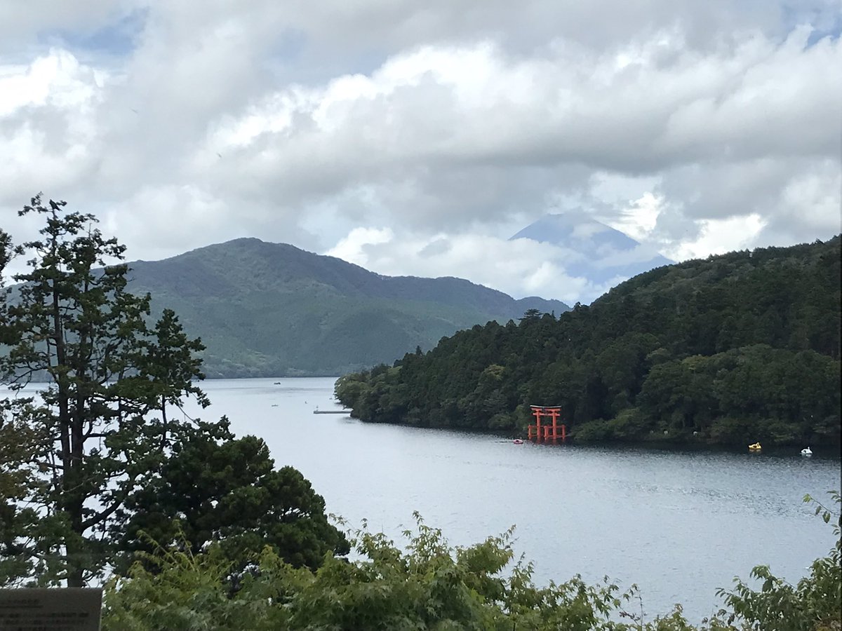 Hope Song tweet media