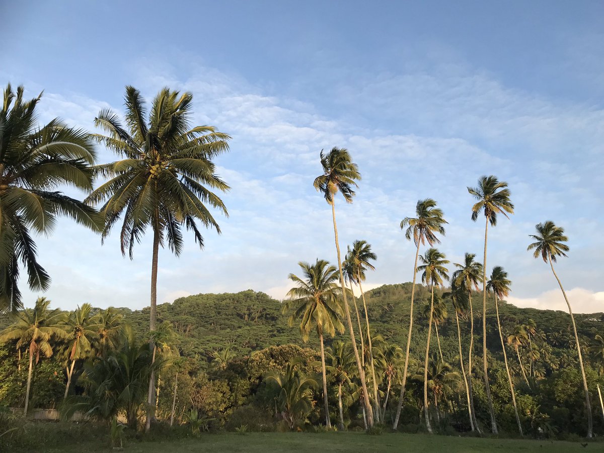 Hope Song tweet media