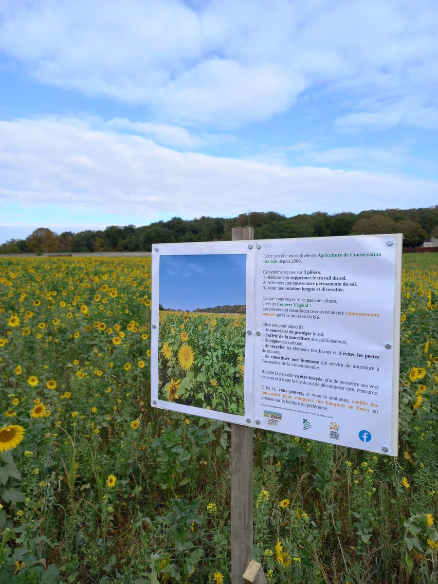 Le panneau n'aura tenu que 48 heures ... un petit malin s'est amusé à le voler pendant le week-end... 😞
