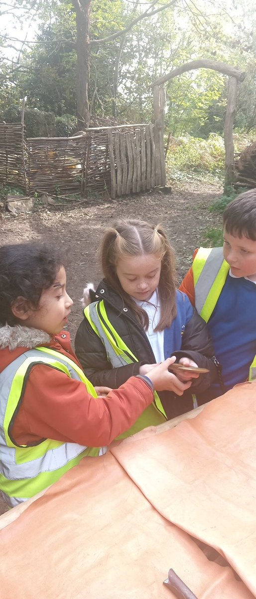 How some weapons to investigate <a href="/class34D/">Class3/4D</a> <a href="/school_ws/">WIlliamStockton</a> #HistoryatWS