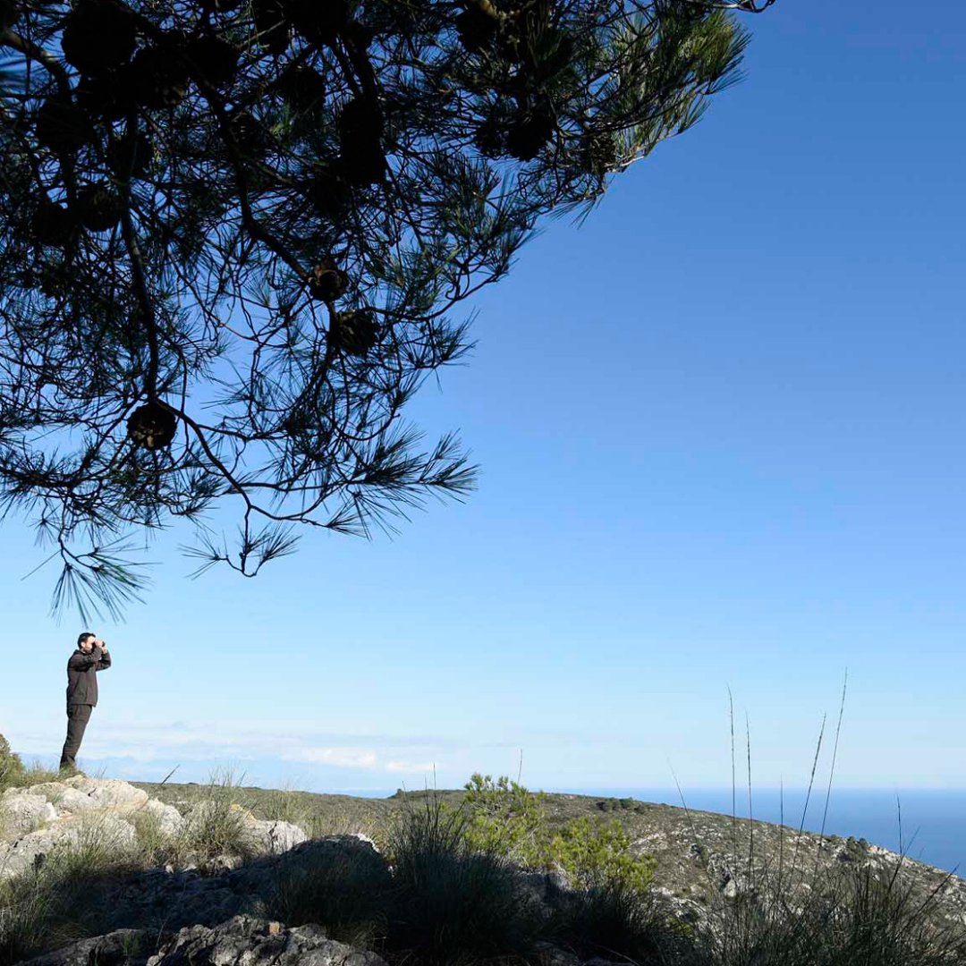 ¿Te apetece ver #Torremolinos desde las alturas? ¡Déjate sorprender por la belleza natural de nuestro paraíso mientras exploras las rutas de senderismo disponible en nuestro municipio!
¡El plan ideal para los amantes del aire libre y la naturaleza! 🍃🌿
#ElOrigendelParaiso