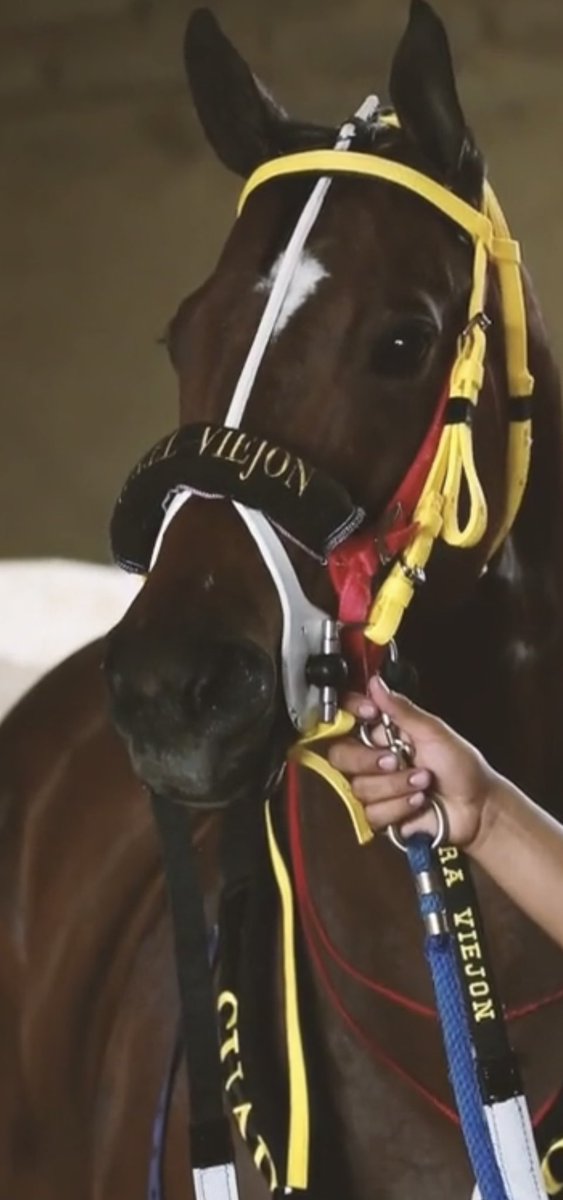 حبك انهى العين عن لفت النظر 
لو عرضلي غير زولك م اشوف