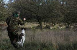 On Friday evening the Rural Crime Team arrested a male on suspicion of hunting a wild mammal with a dog. This is in relation to a number of reports of deer coursing in the area over recent weeks. The suspect has been released on bail and enquiries are ongoing.