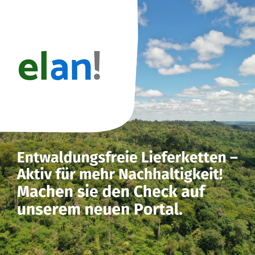 Sie wollen Ihre Lieferketten klimafreundlich und entwaldungsfrei gestalten?
Wir freuen uns, zusammen mit unserem Projektpartner <a href="/OroVerde_GER/">OroVerde</a> die beta-Version des elan! Portals fertiggestellt und gelauncht zu haben: entwaldungsfreie-lieferketten.de
#lieferkettengesetz #lieferkette #wald