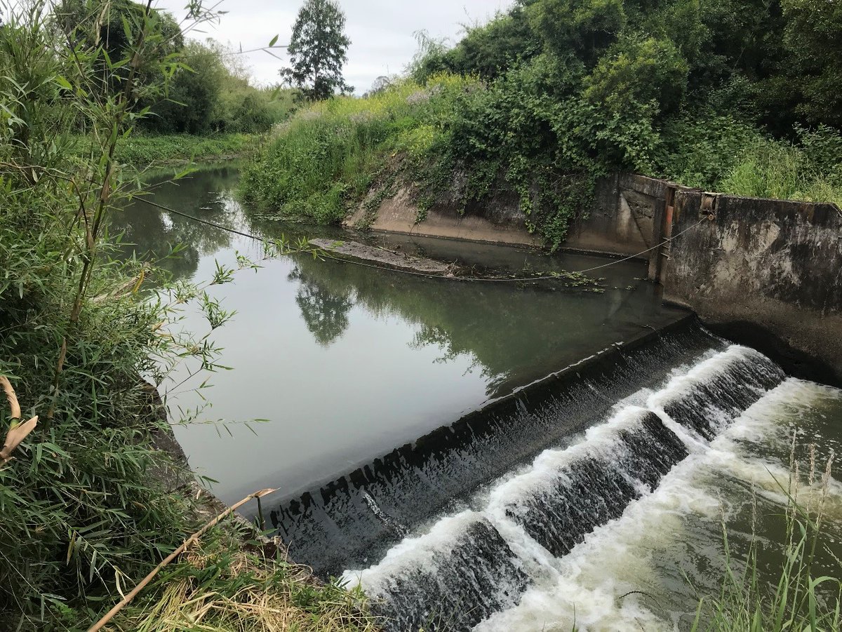 Design and construction supervision of the Imperial Canal irrigation system improvement works, Araucania region, Chile. The 25 km long canal joins the cities of Temuco and Nueva Imperial, and aims to irrigate 6,000 ha. Services include the design of intakes, the improvement of