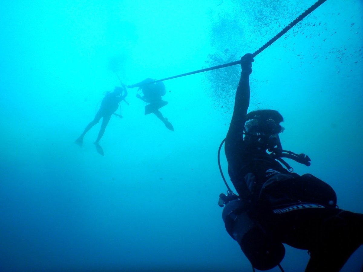 diving_nimo's tweet photo. 昨日は@Deepblue777777 と合同で、熱海沈没船ツアーをしました⚓️

神秘的で感動的な海の世界を堪能しました！
沈没船の中には魚がいっぱい！！
ロマン溢れてる〜〜✨️

あいにくの雨でしたが、観光の時には晴れました☀️

来月はAKDツアーにて代交代です🔄 https://t.co/398UzEeFye