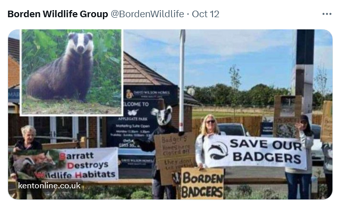 People need places to live ~ but so does our #wildlife; & there are so much fewer of them than us ...
surely we can have the #MondayMotivation to build 🏘️ somewhere else, when we know we ought to leave the #SpaceforBadgers?!
#badgermonday 🦡 #Brocktober
kentonline.co.uk/sittingbourne/…